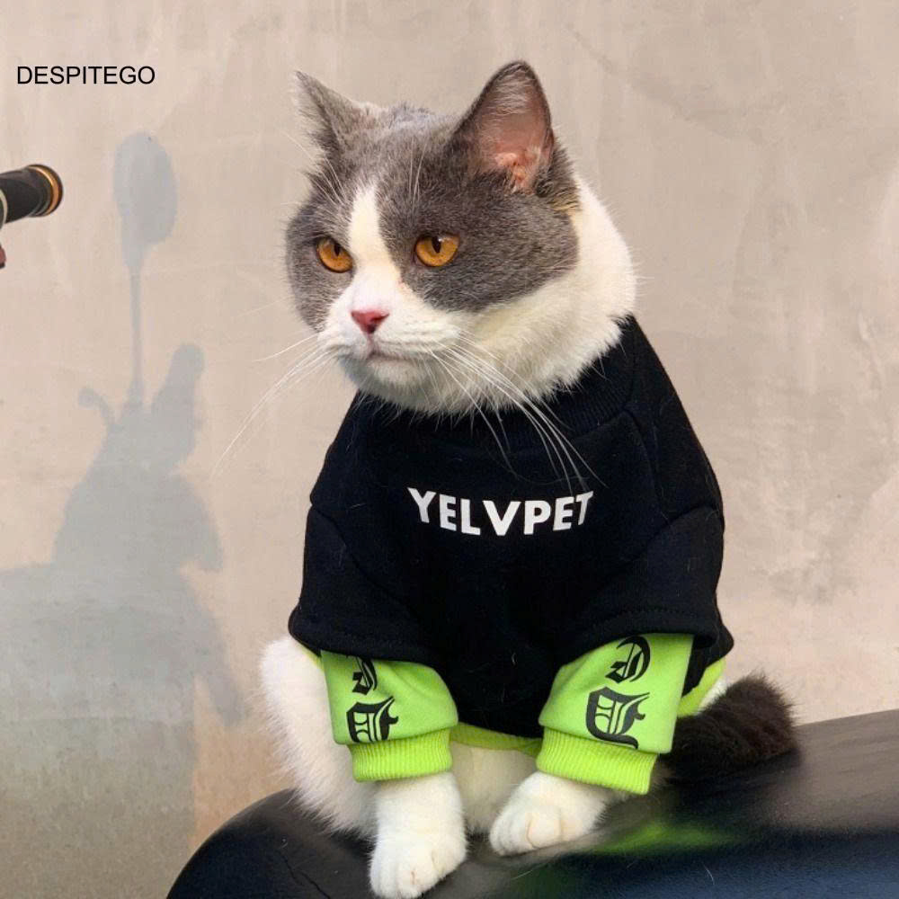 Áo Hoodie cho mèo